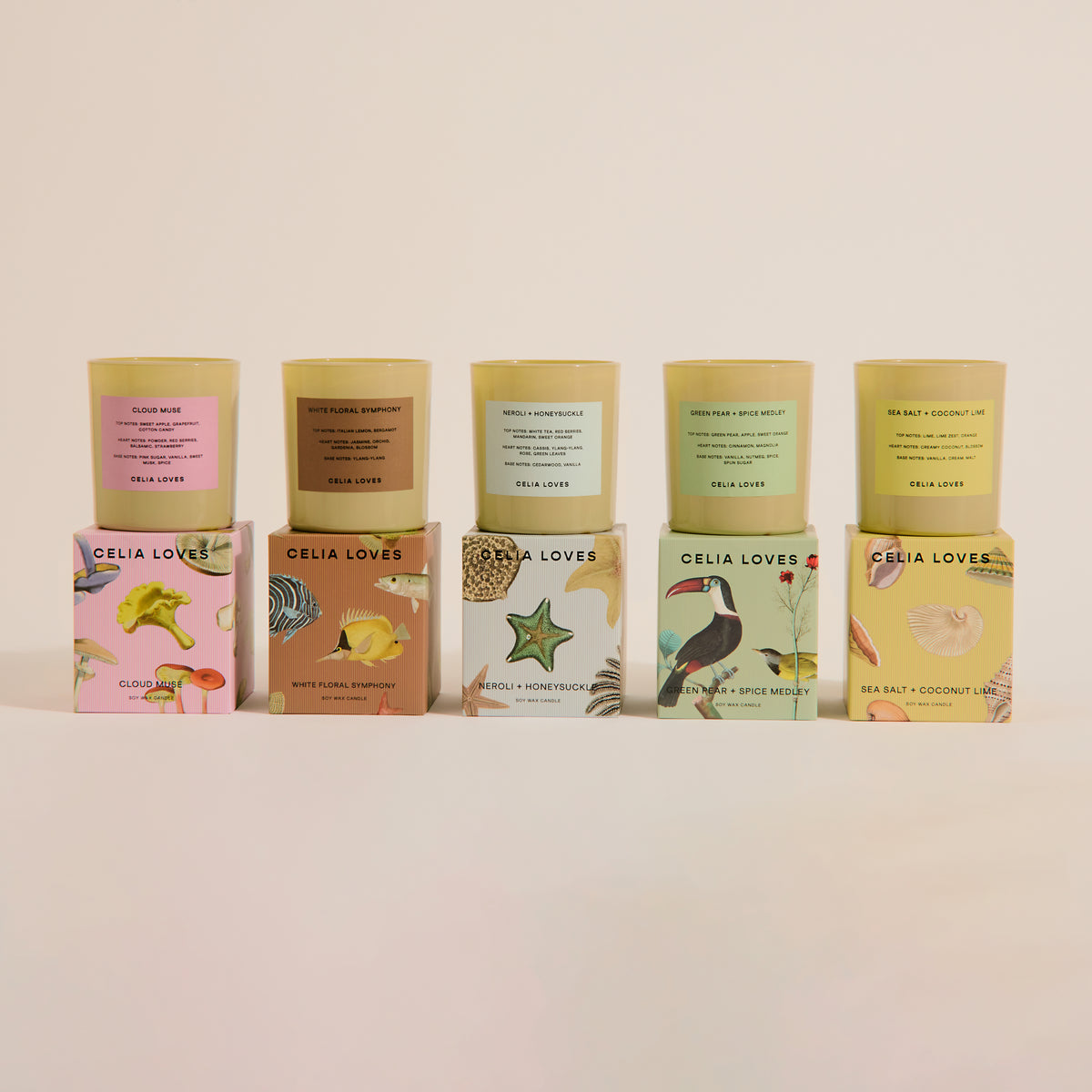 Candles + Diffusers– Jumbled