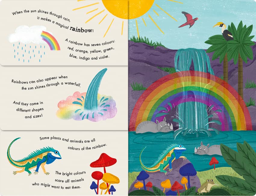 Rain And Shine - A Flip Flap Book Of Weather