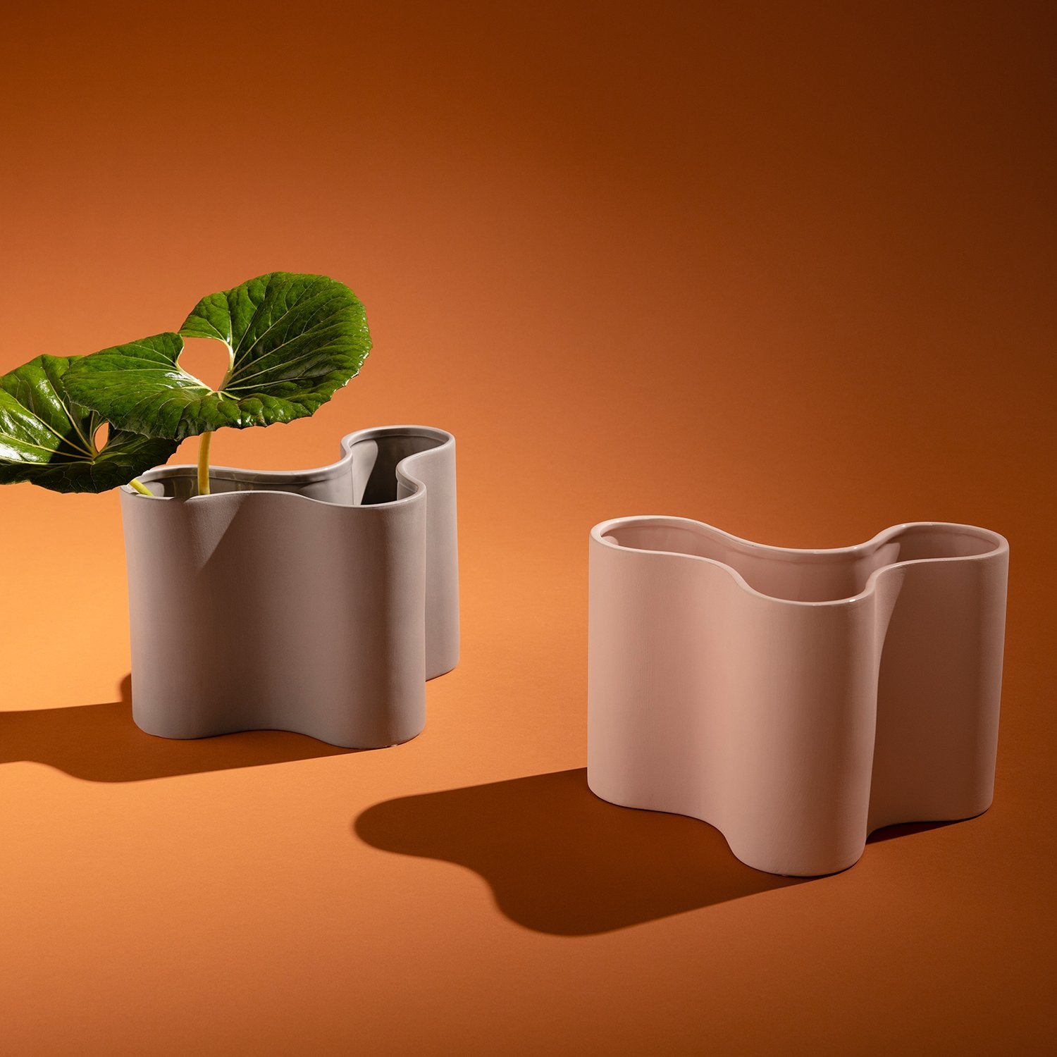 All Wrapped Up Botanicals